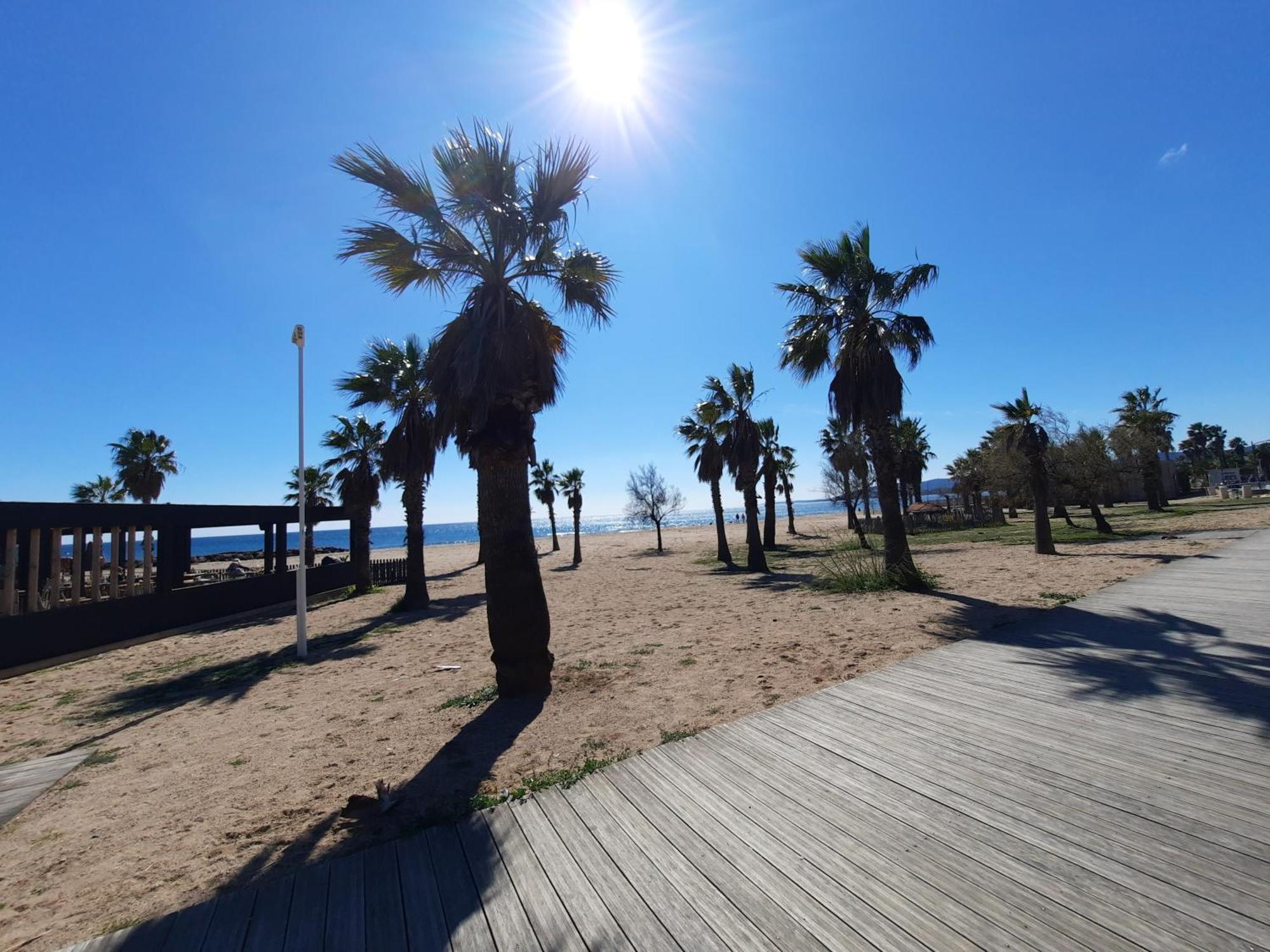 Coeur Marina Climatise Terrasse Parking Apartment Frejus Bagian luar foto