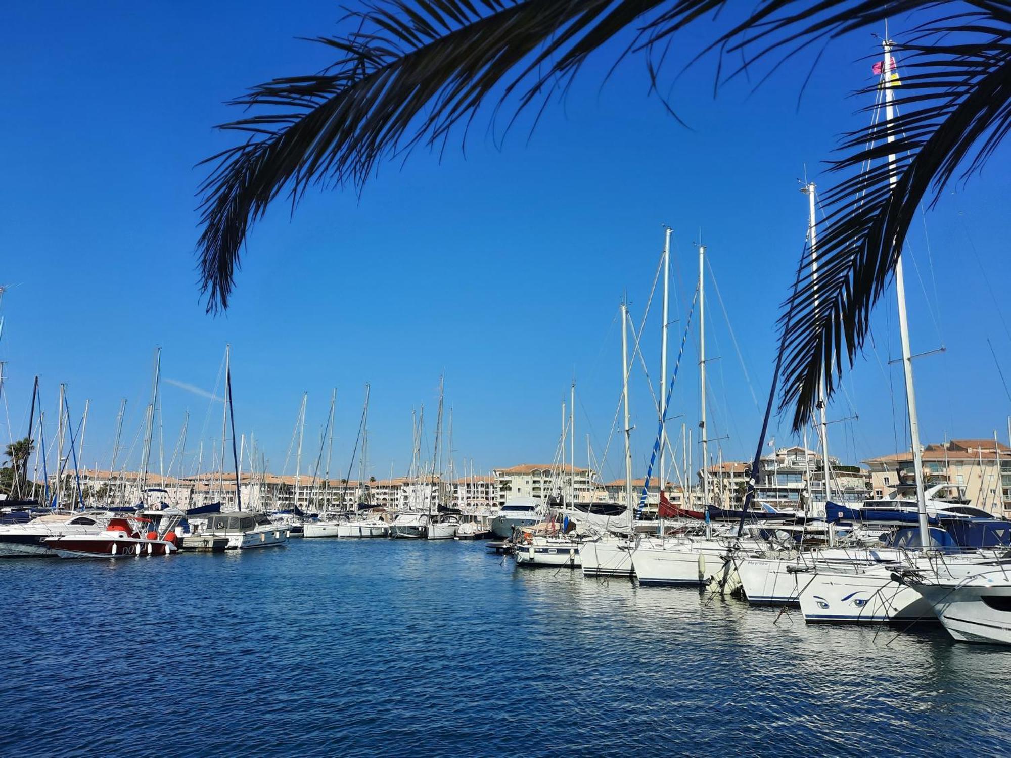 Coeur Marina Climatise Terrasse Parking Apartment Frejus Bagian luar foto